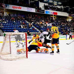 Meet your Posher, Alexis